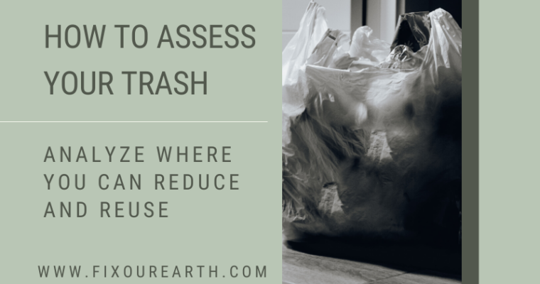 How to Assess Your Trash