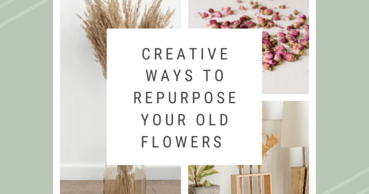 Creative Ways to Repurpose Your Old Flowers